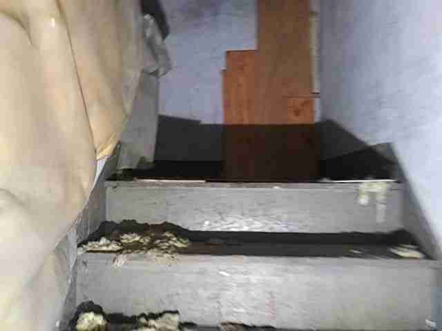 Testing again(29).jpg